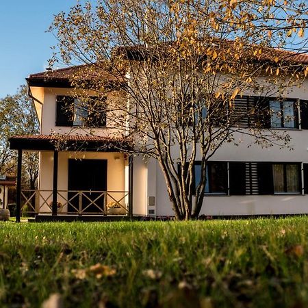 Pensiunea Negoiu Porumbacu de Sus Exteriör bild