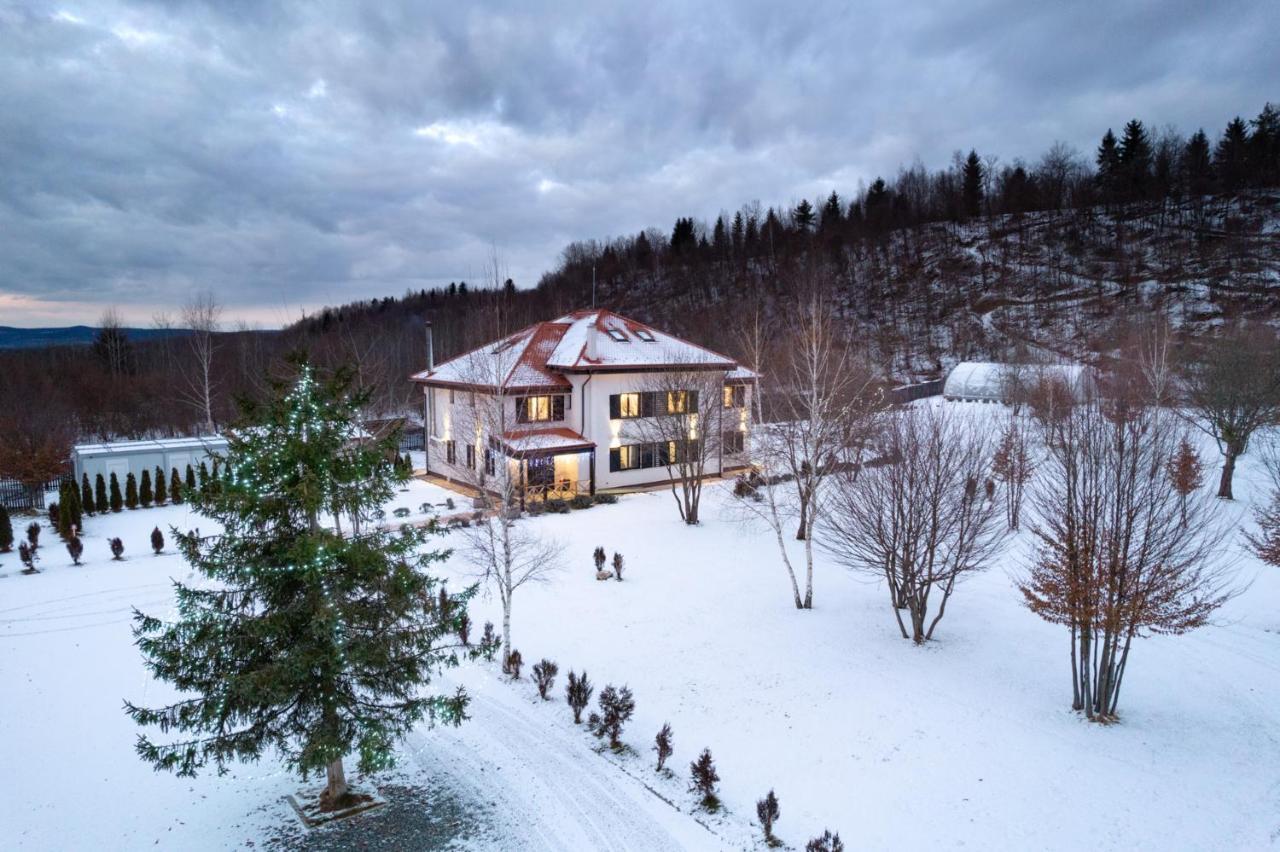 Pensiunea Negoiu Porumbacu de Sus Exteriör bild