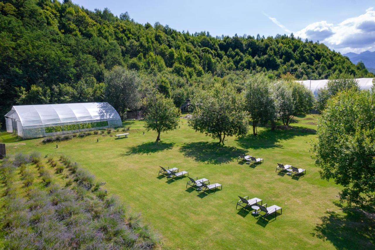 Pensiunea Negoiu Porumbacu de Sus Exteriör bild