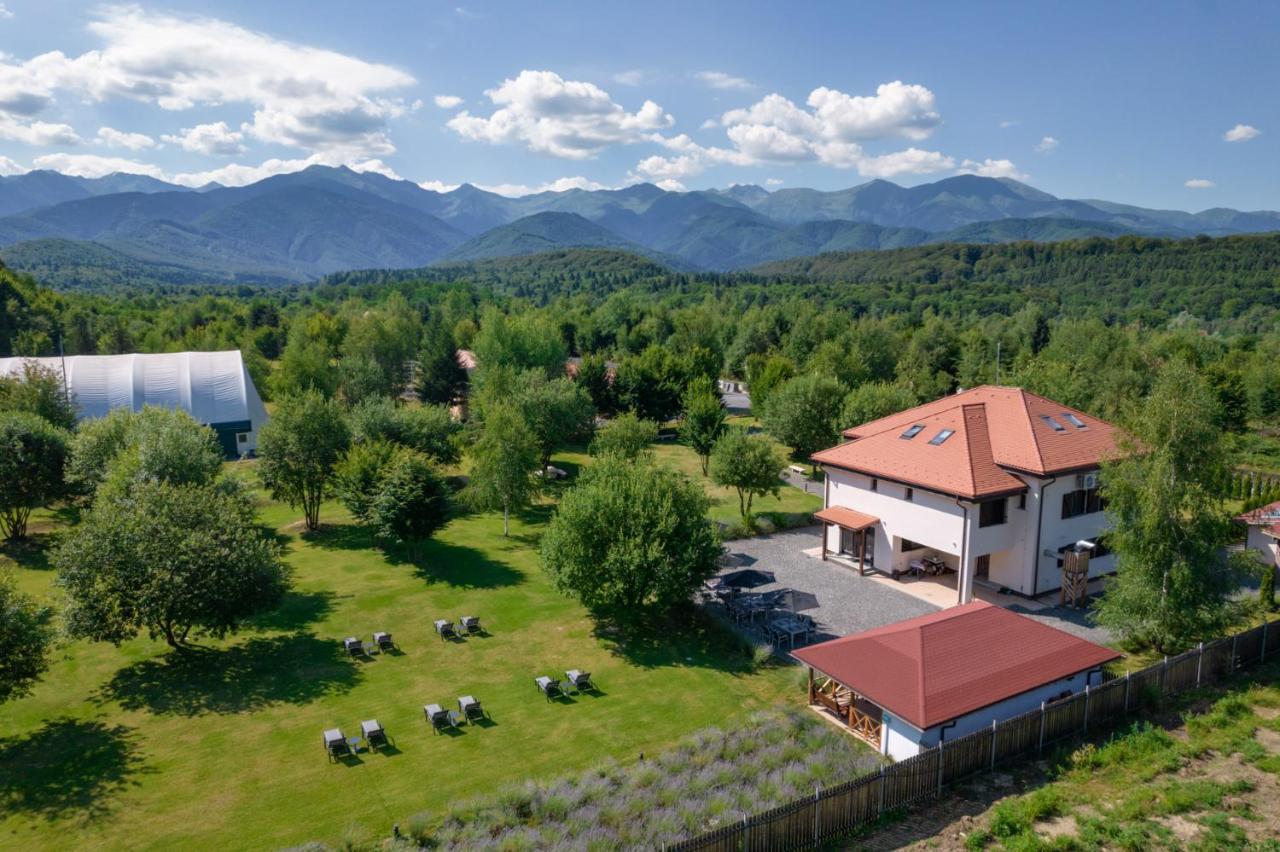 Pensiunea Negoiu Porumbacu de Sus Exteriör bild
