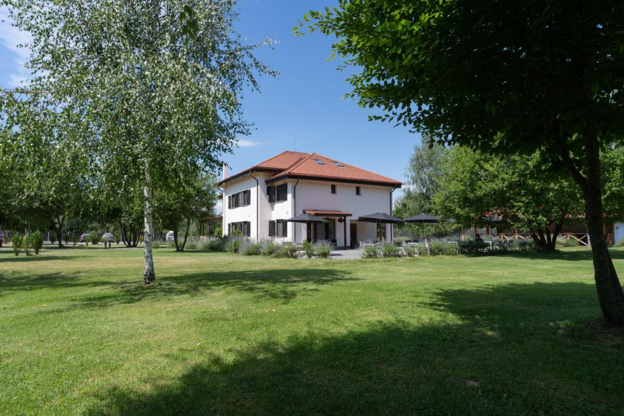 Pensiunea Negoiu Porumbacu de Sus Exteriör bild