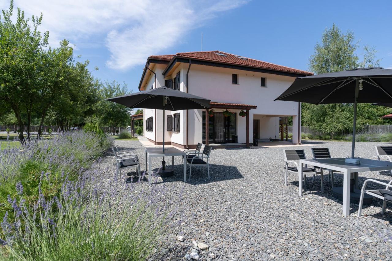 Pensiunea Negoiu Porumbacu de Sus Exteriör bild