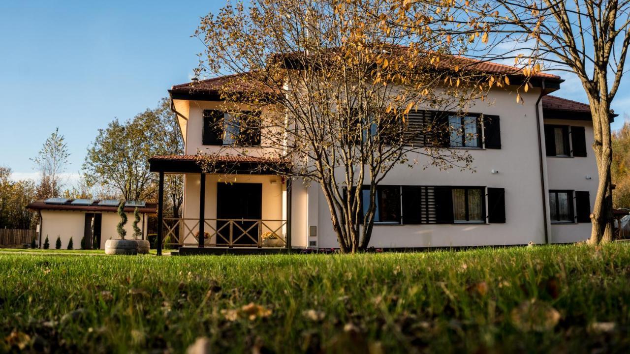Pensiunea Negoiu Porumbacu de Sus Exteriör bild