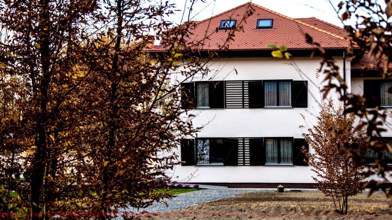 Pensiunea Negoiu Porumbacu de Sus Exteriör bild