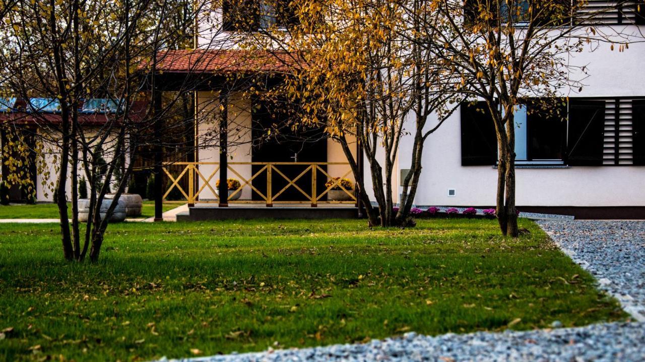 Pensiunea Negoiu Porumbacu de Sus Exteriör bild